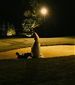 Filename=Melancholia_BluRay393.jpg
Filesize=61KiB
Dimensions=1280x544
Date added=Apr 29, 2012 Melancholia_BluRay393.jpg