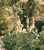 Filename=Melancholia_BluRay540.jpg
Filesize=111KiB
Dimensions=1280x544
Date added=Apr 29, 2012 Melancholia_BluRay540.jpg