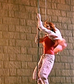 Filename=SpiderMania80.jpg
Filesize=50KiB
Dimensions=704x534
Date added=Jul 02, 2007 SpiderMania80.jpg