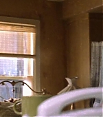 Filename=SpiderMan2DVD_071.jpg
Filesize=47KiB
Dimensions=1200x500
Date added=Oct 21, 2007 SpiderMan2DVD_071.jpg