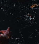 Filename=SpiderMan3DVD_336.jpg
Filesize=31KiB
Dimensions=1200x500
Date added=Nov 03, 2007 SpiderMan3DVD_336.jpg