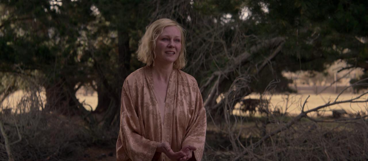 PowerOfTheDog_BluRay324.jpg