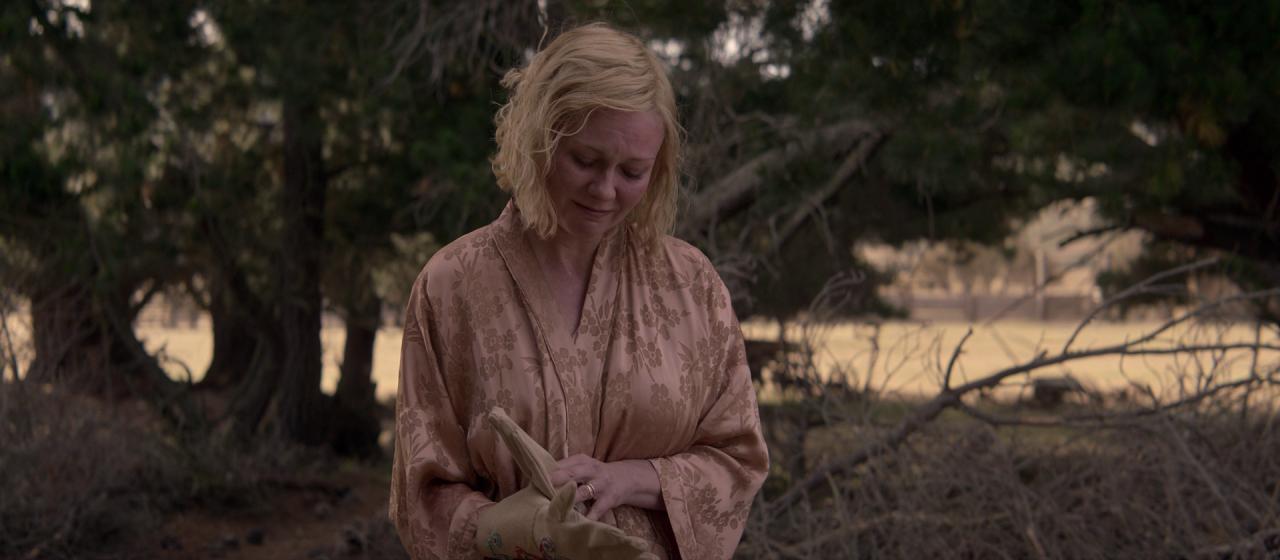 PowerOfTheDog_BluRay328.jpg