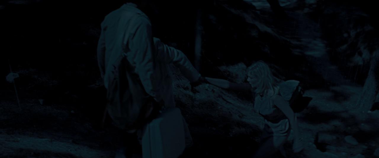 TwoFaces_BluRay368.jpg