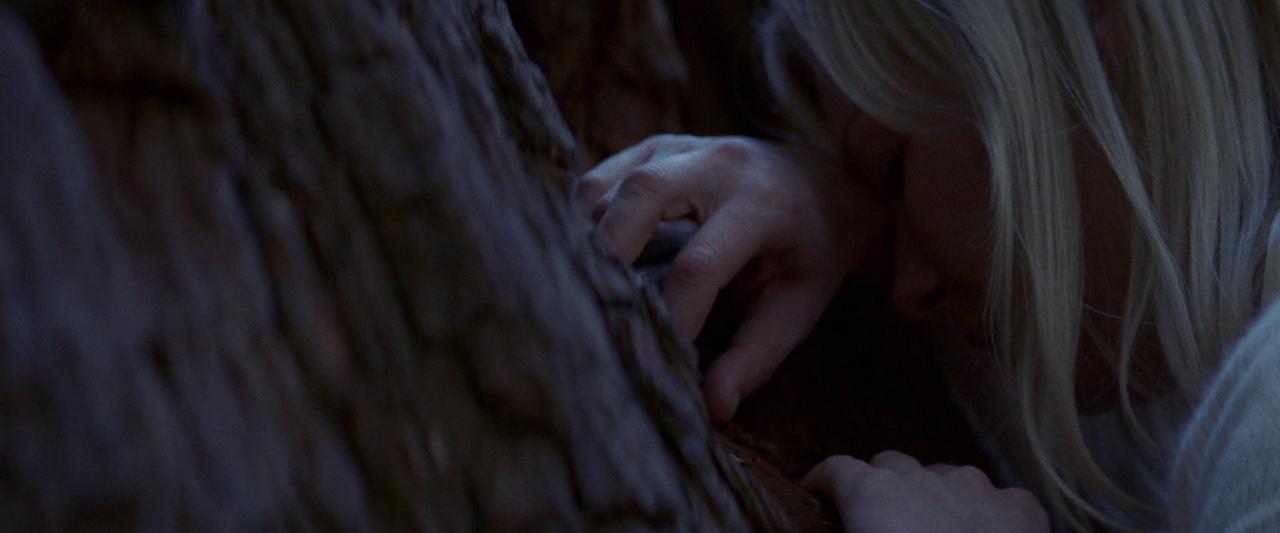 Woodshock_BluRay003.jpg