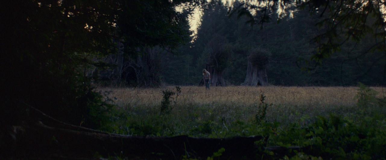 Woodshock_BluRay047.jpg