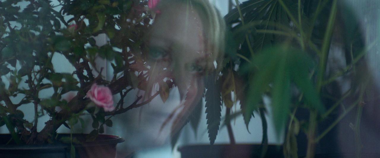 Woodshock_BluRay109.jpg