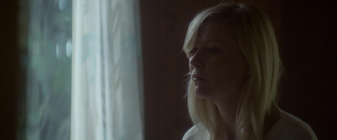 Woodshock_BluRay206.jpg