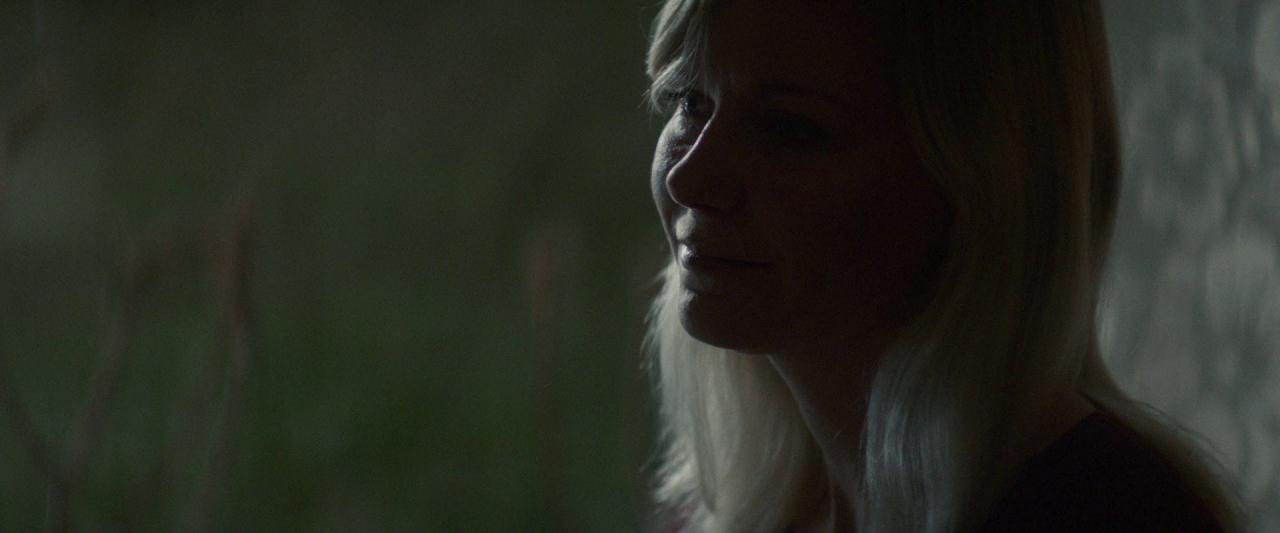 Woodshock_BluRay266.jpg