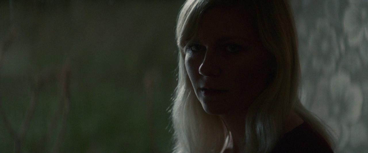 Woodshock_BluRay268.jpg