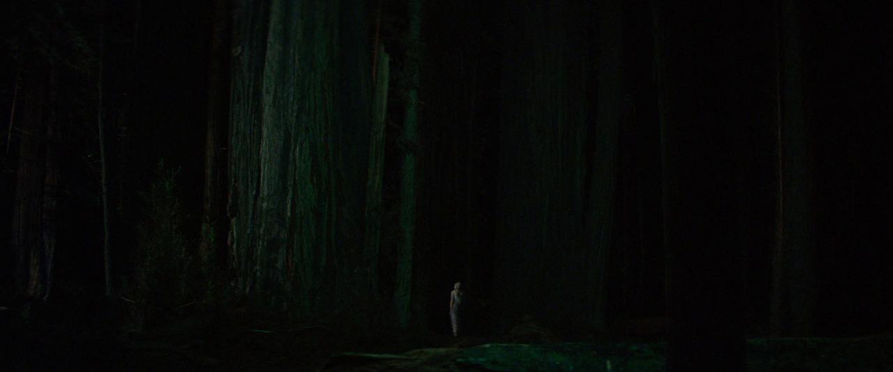 Woodshock_BluRay393.jpg