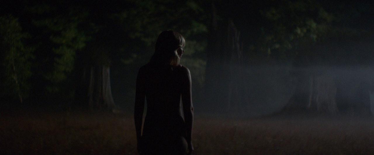 Woodshock_BluRay397.jpg