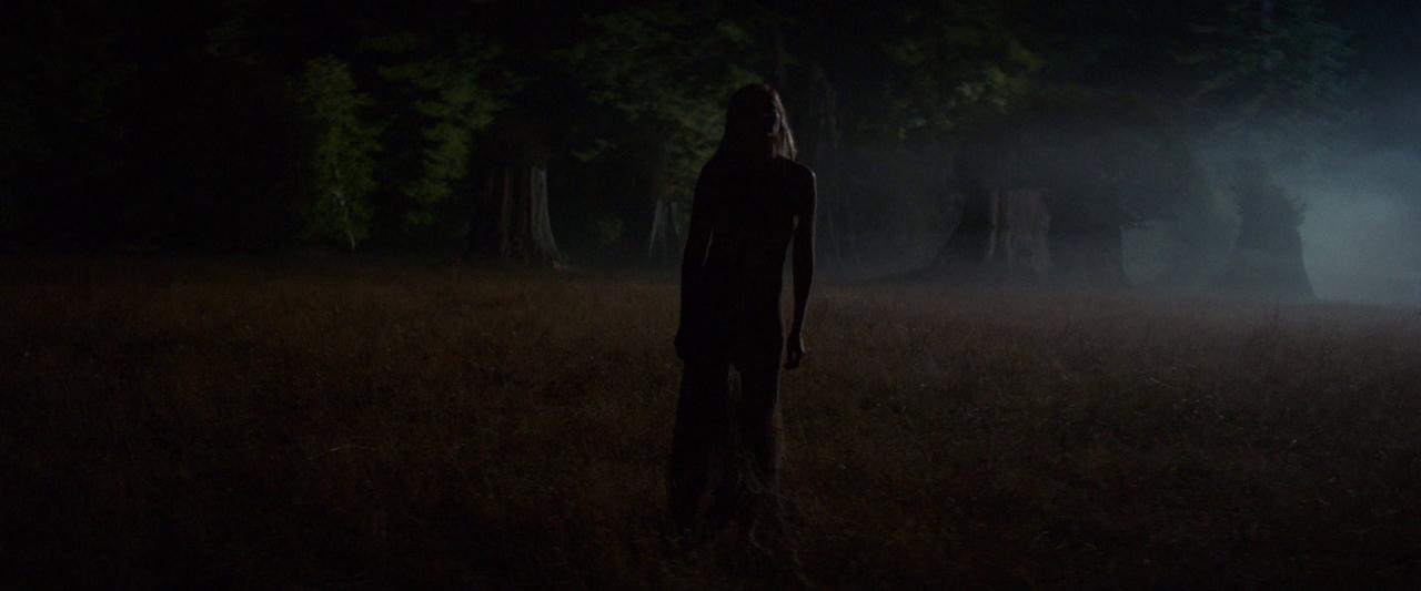 Woodshock_BluRay398.jpg