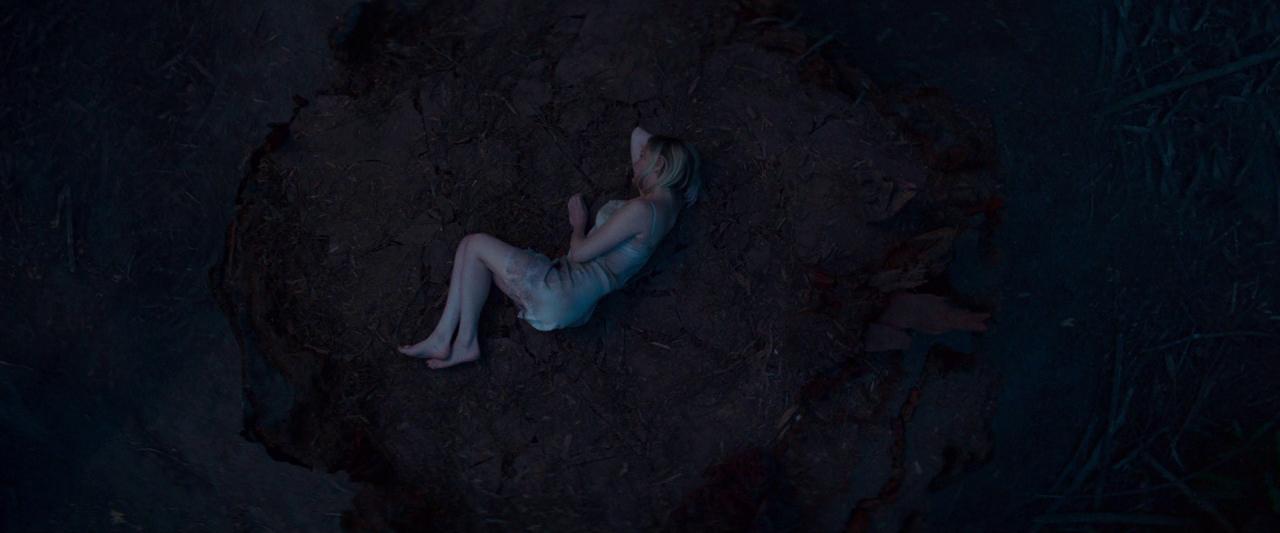 Woodshock_BluRay424.jpg