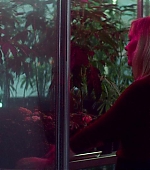 Woodshock_BluRay115.jpg
