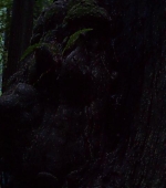 Woodshock_BluRay138.jpg