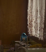 Woodshock_BluRay328.jpg