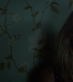 Woodshock_BluRay569.jpg