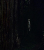 Filename=Woodshock_BluRay655.jpg
Filesize=25KiB
Dimensions=1280x533
Date added=Dec 02, 2018 Woodshock_BluRay655.jpg
