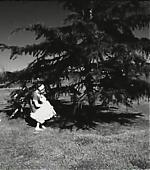 wendybird023.jpg