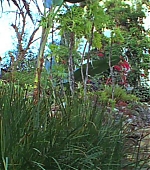 NonPlusOne36.jpg