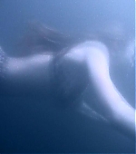 GunDVD_004.jpg