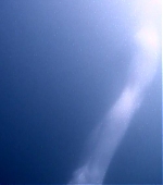 GunDVD_005.jpg