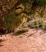 GunDVD_110.jpg